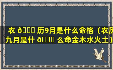 农 🐞 历9月是什么命格（农历九月是什 💐 么命金木水火土）